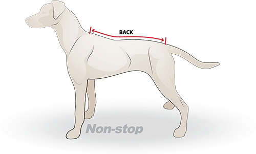 Non-stop dogwear, canicross, bikejoring, skijoring and sled dog gear | Dog Harnesses | Dog Collars | Dog Jackets | Dog Booties.