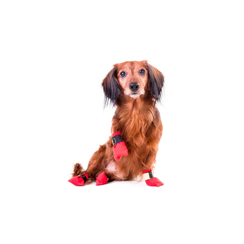 Red Bootie by Non-stop dogwear. Non-stop dogwear, premium dog gear for active pets and working dogs | Dog harnesses | Dog collars | Dog Jackets | Dog Booties.