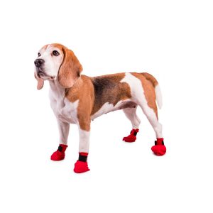 Red Bootie by Non-stop dogwear. Non-stop dogwear, premium dog gear for active pets and working dogs | Dog harnesses | Dog collars | Dog Jackets | Dog Booties.