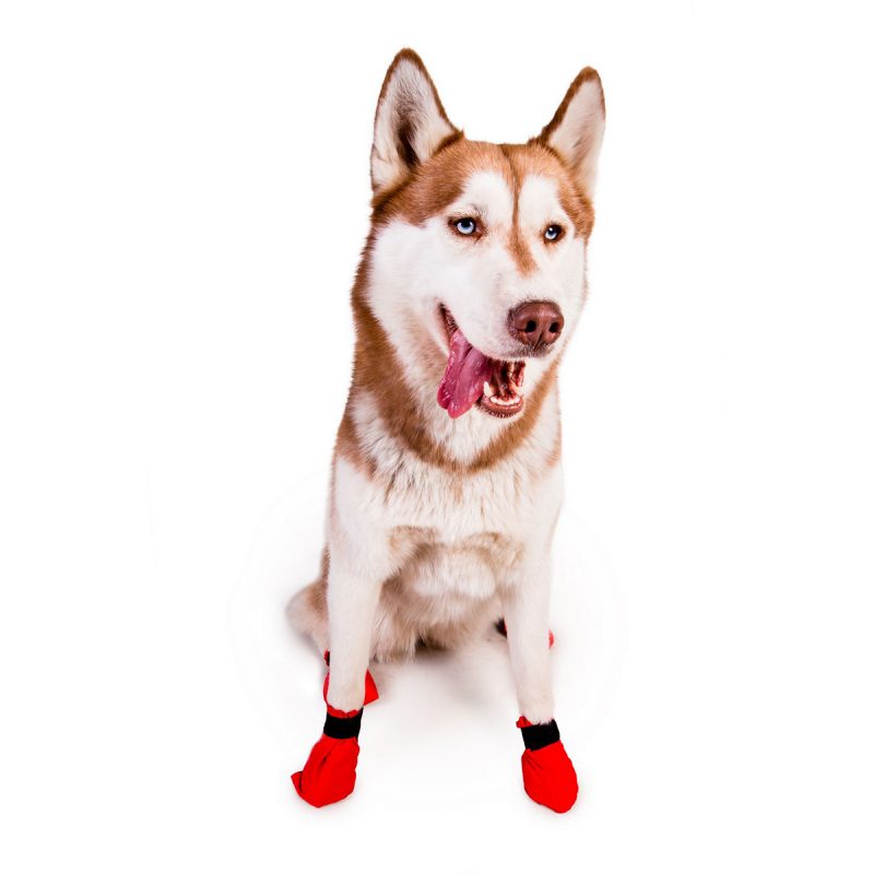 Red Bootie by Non-stop dogwear. Non-stop dogwear, premium dog gear for active pets and working dogs | Dog harnesses | Dog collars | Dog Jackets | Dog Booties.