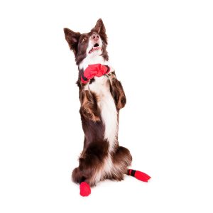 Red Bootie by Non-stop dogwear. Non-stop dogwear, premium dog gear for active pets and working dogs | Dog harnesses | Dog collars | Dog Jackets | Dog Booties.