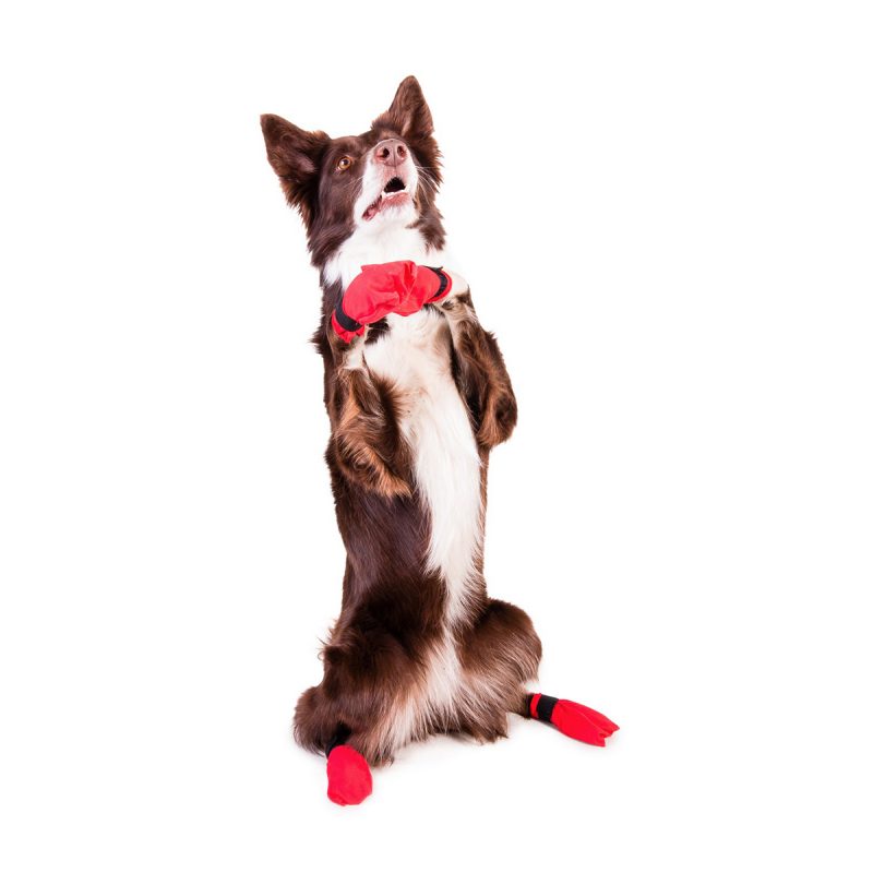Red Bootie by Non-stop dogwear. Non-stop dogwear, premium dog gear for active pets and working dogs | Dog harnesses | Dog collars | Dog Jackets | Dog Booties.