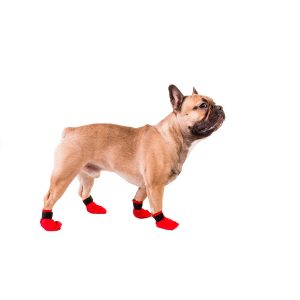 Red Bootie by Non-stop dogwear. Non-stop dogwear, premium dog gear for active pets and working dogs | Dog harnesses | Dog collars | Dog Jackets | Dog Booties.