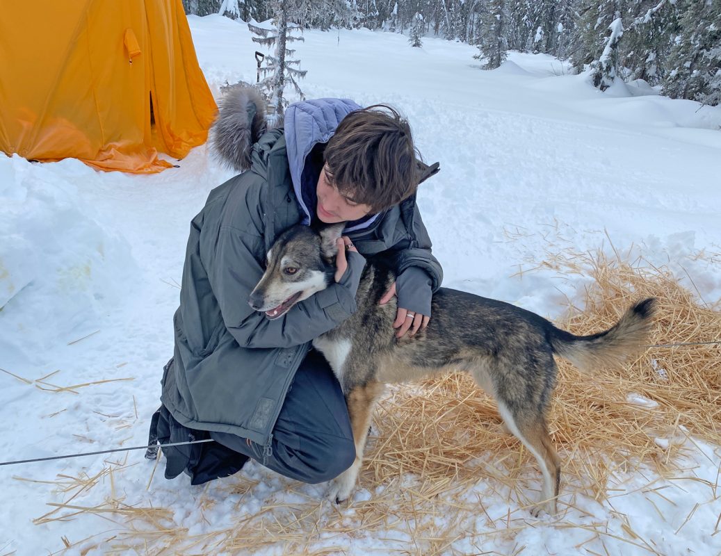 Dog Love for All