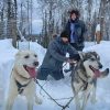 Best Dog Sled Tours