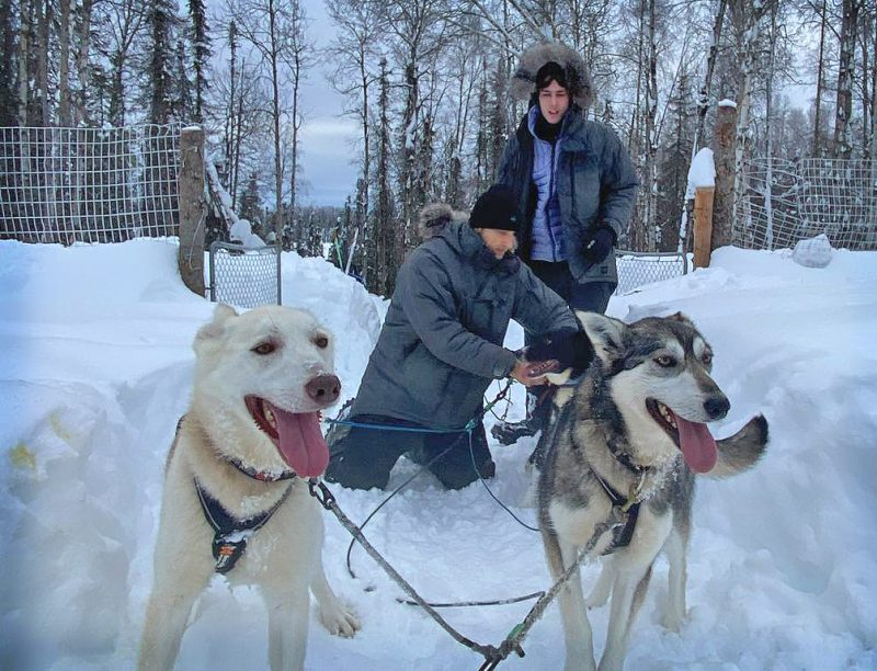 Best Dog Sled Tours