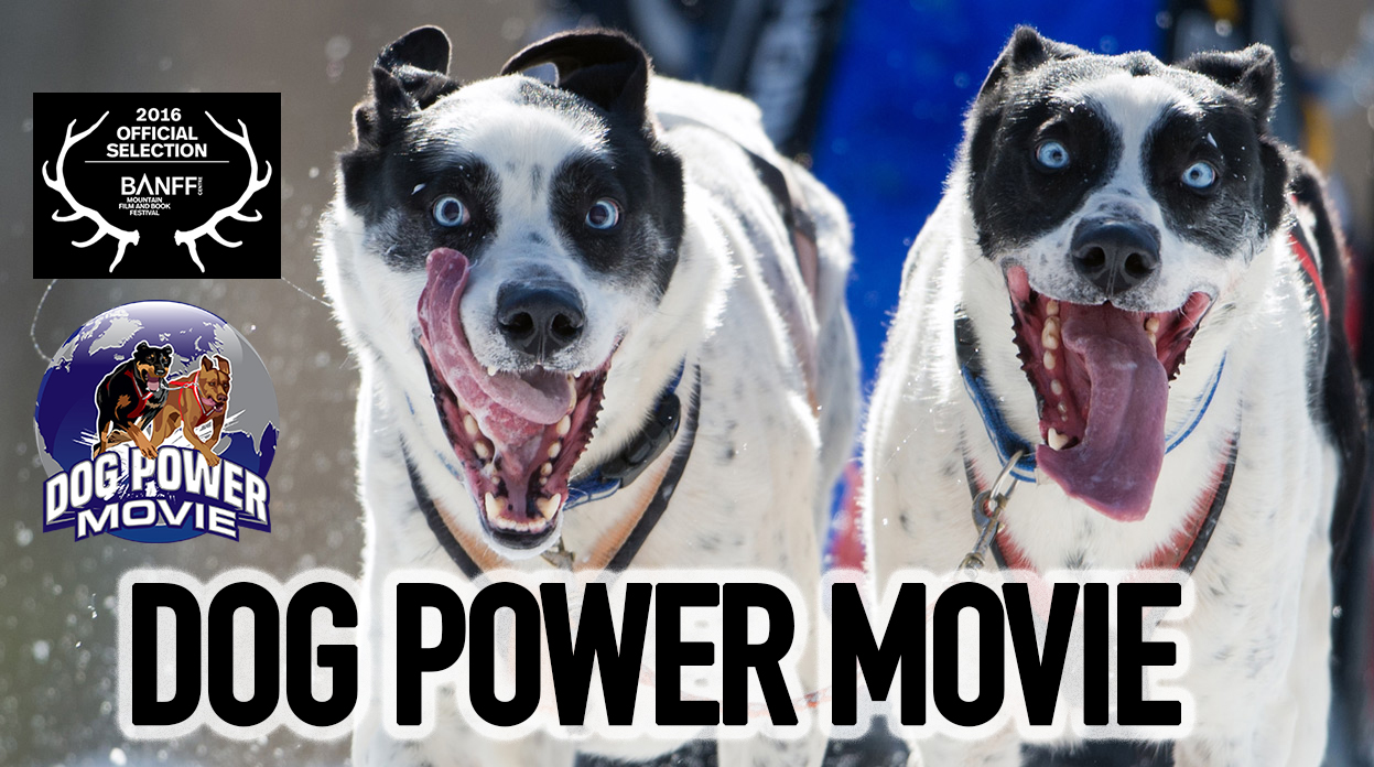 Dog Power Movie Banff World Tour Film for Dog Lovers Everywhere