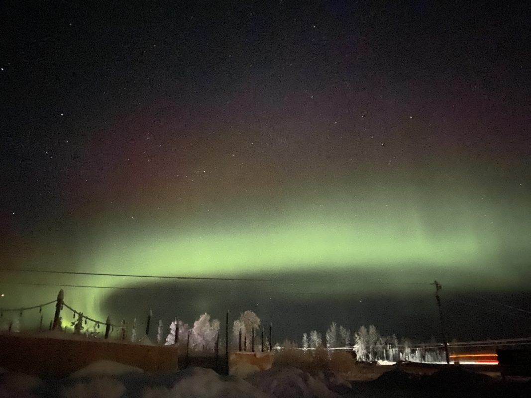Night Mushing and Northern Lights at the Alaska Dog Center