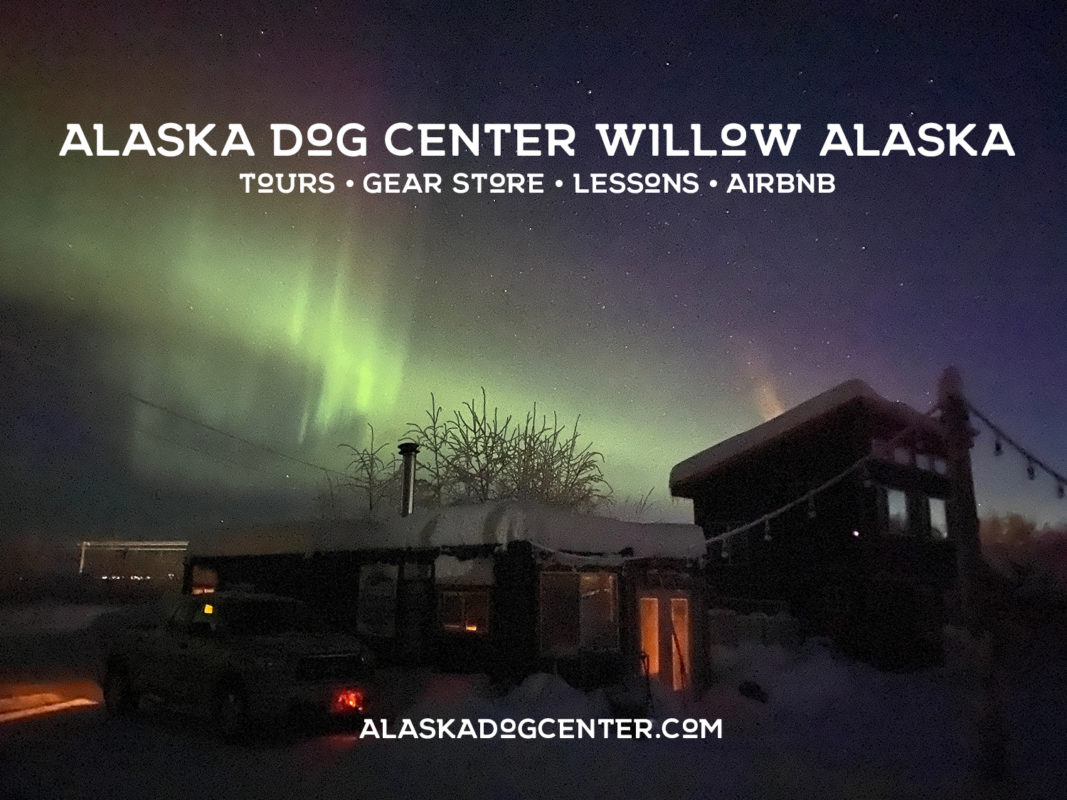 Aurora on many nights at the Alaska Dog Center
