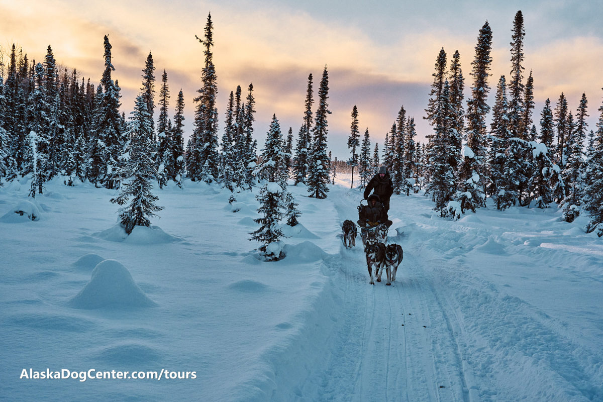 Alaska Dog Center