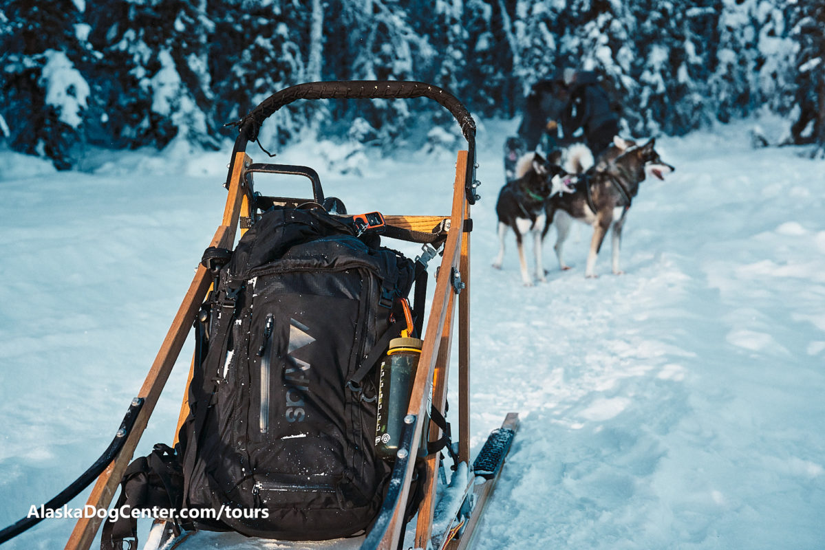 Mushing Experience of a Lifetime - Bucket List